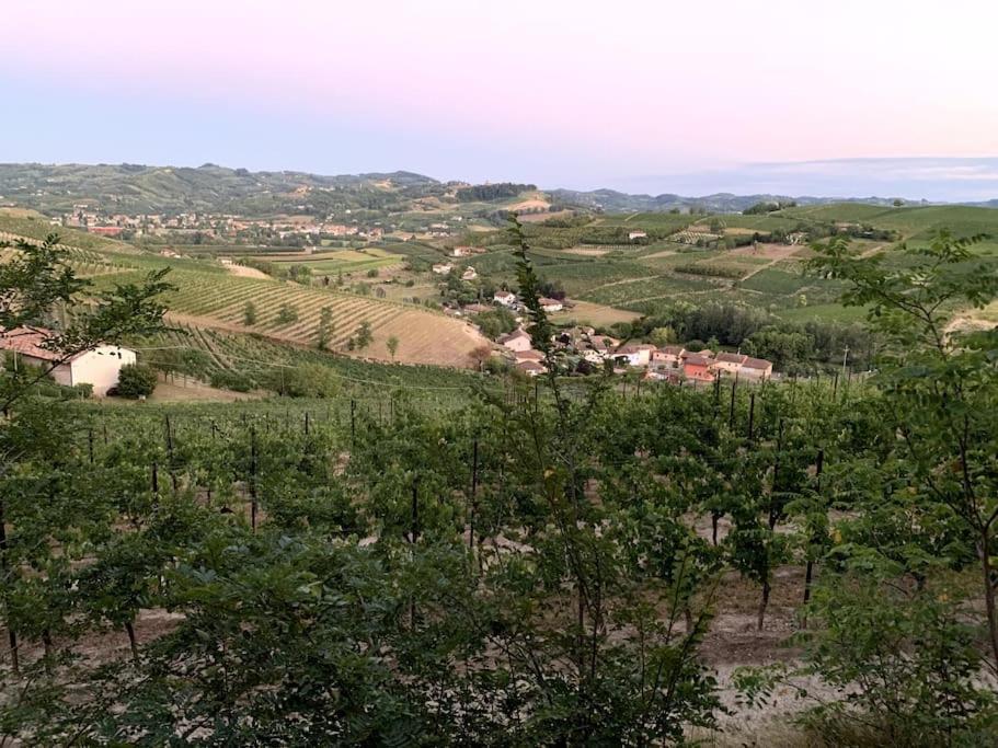 Apart-Agriturismo "La Colomba" Nizza Monferrato Εξωτερικό φωτογραφία